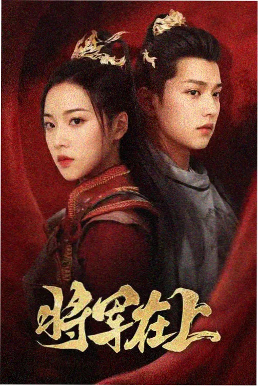 律政悬疑剧双面证词海报